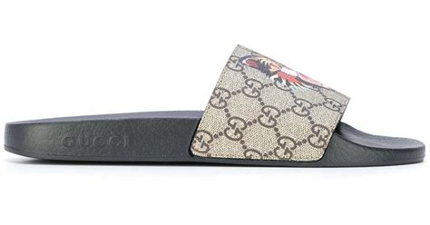 sliders gucci
